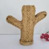 Cactus de esparto